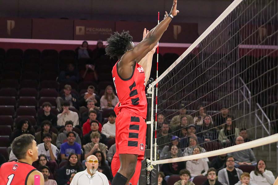 D'Youville University Men's Volleyball Players