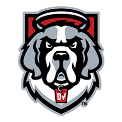 D'Youville University Men's Volleyball Camps
